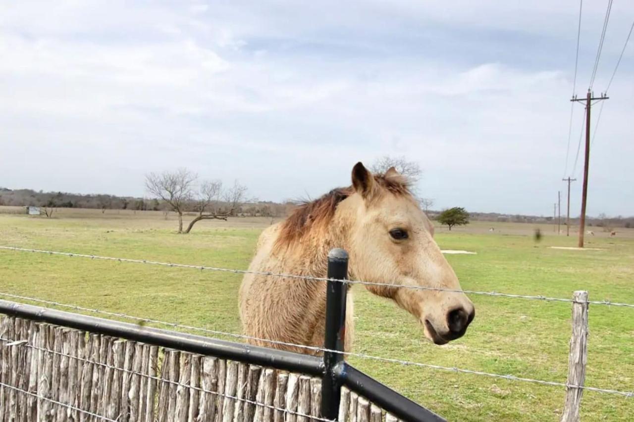 120 Acre Estate Watertubing, Livestock,Event Space Villa Waxahachie Exterior photo